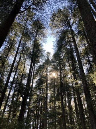 Manali & Lahaul