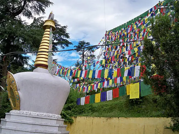Mcleodganj & Triund Sky-Trek