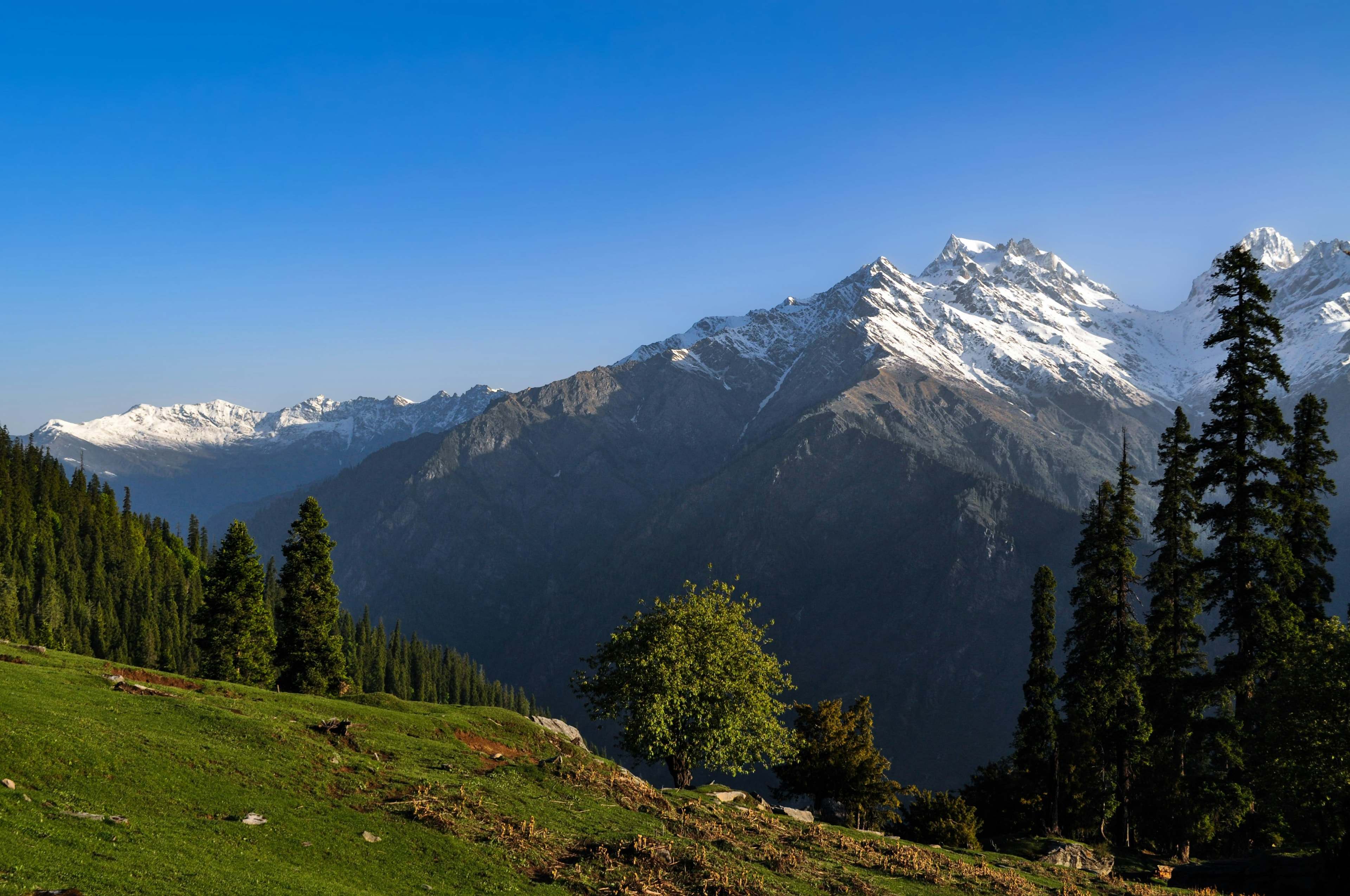 Ultimate Manali, Sissu & Kasol Retreat