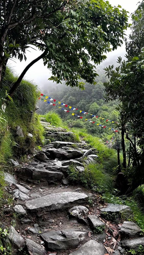 Mcleodganj & Triund Sky-Trek