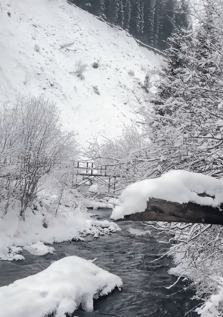 Almaty Tour