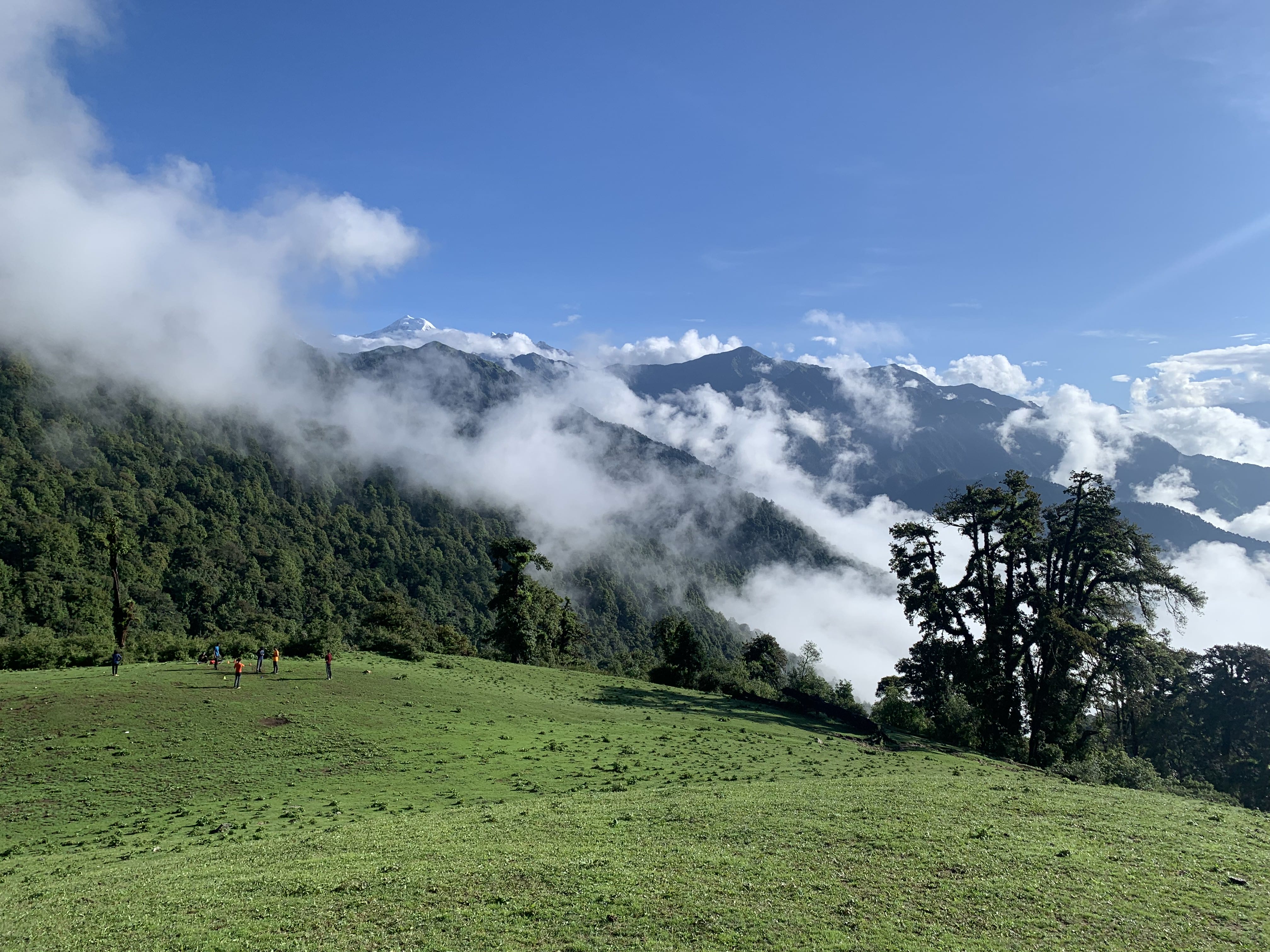 Dayara Bugyal Trek - Alpine Meadow & Peak Exploration