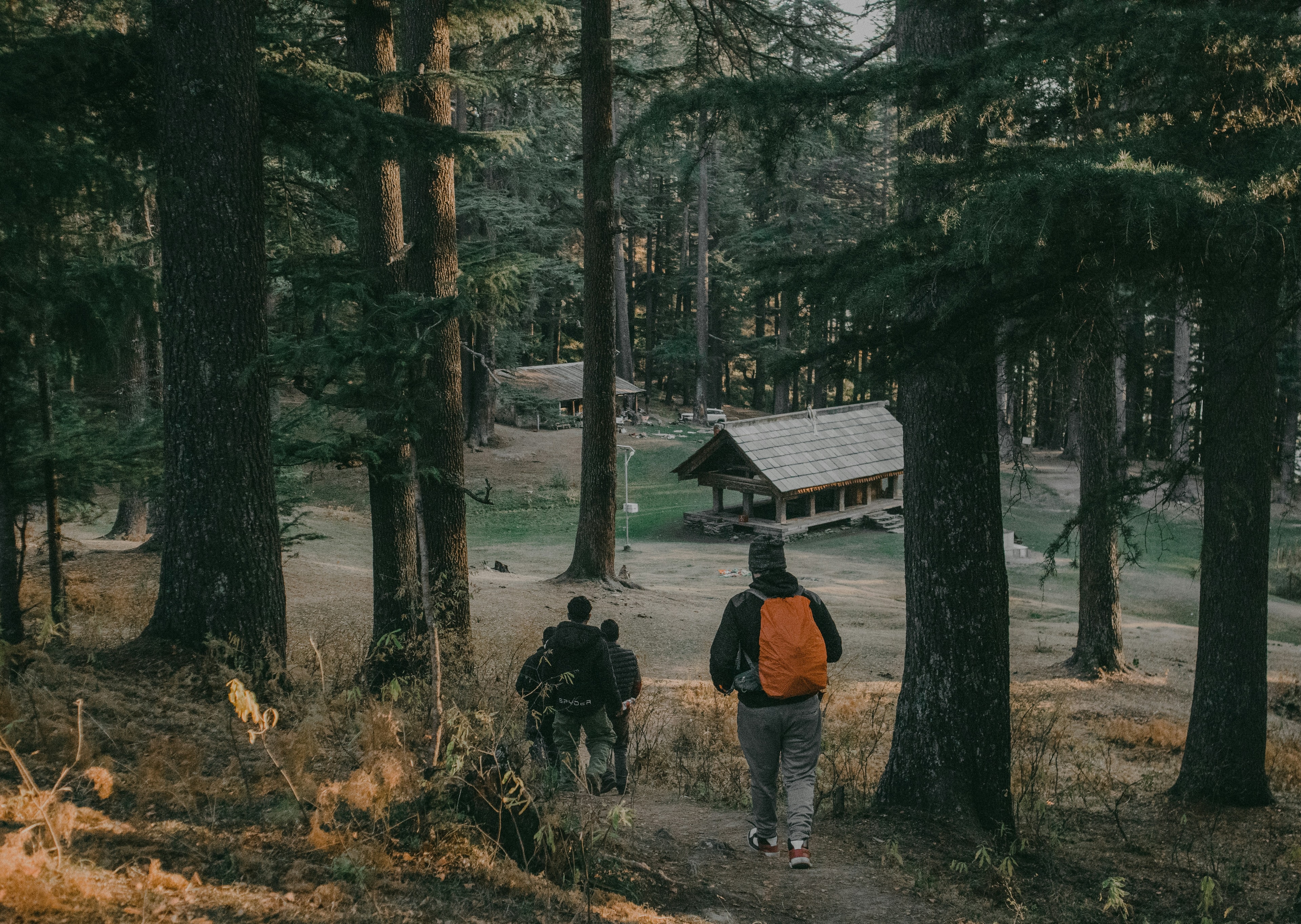 Jibhi & Tirthan Valley Explorer