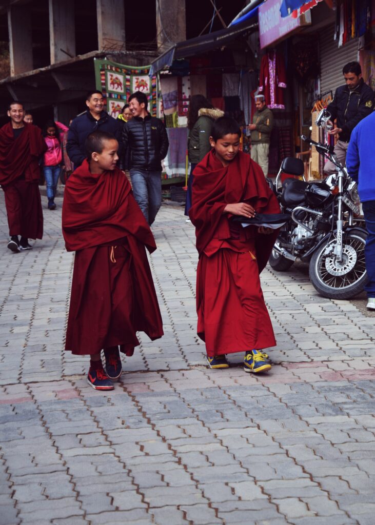 Mcleodganj & Triund Trek - Image 9