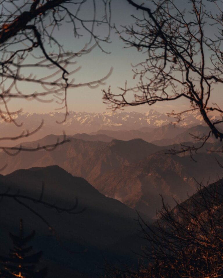 Tirthan Valley Weekend Retreat - Image 8