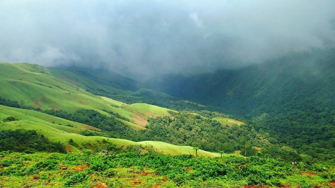Coorg vs Chikmagalur: Which Bangalore Weekend Trip to Pick