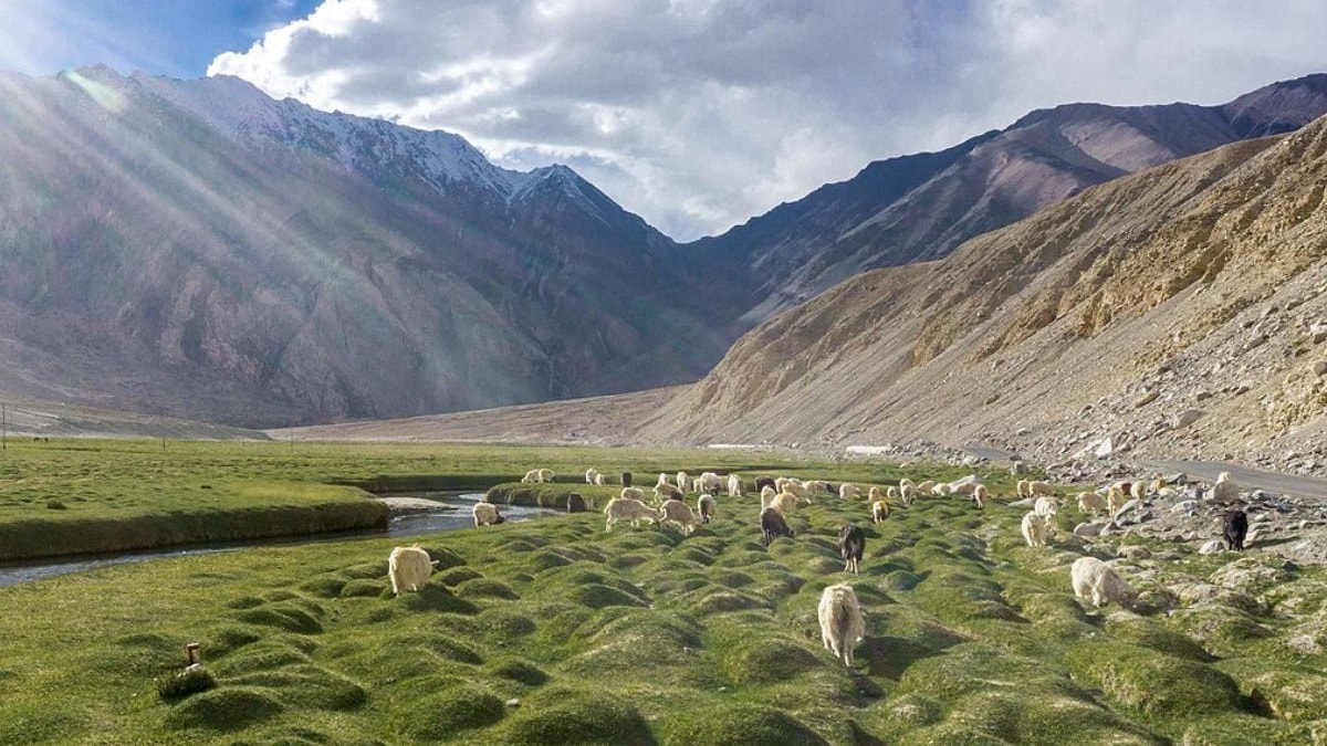 Nubra Valley, Ladakh: Diskit, Hunder Dunes, Permits and How to Pace It from Leh