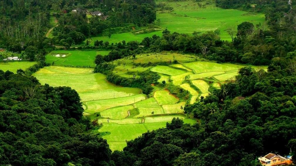 Weekend Getaways from Bangalore: Coorg and Chikmagalur, Honestly Compared